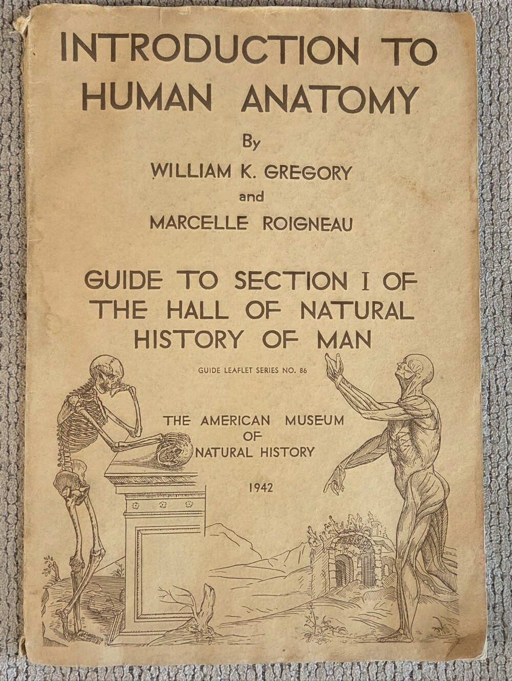 Introduction to Human Anatomy Vintage Book